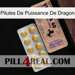 Dragon Power Pills 41